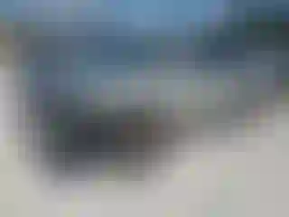 Vehicle Image- 2008 Lexus RX