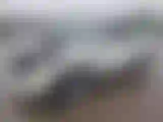 Vehicle Image- 2007 Lexus RX