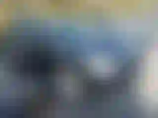 Vehicle Image- 2007 Lexus RX