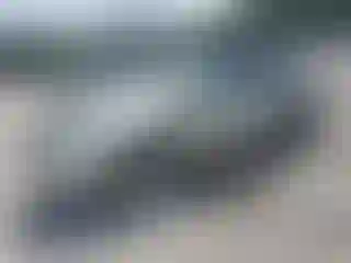 Vehicle Image- 2007 Lexus RX