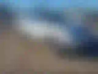 Vehicle Image- 2009 Lexus RX