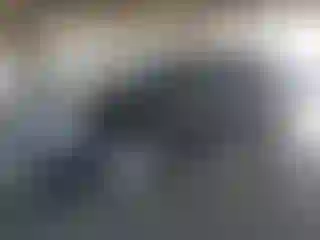 Vehicle Image- 2008 Lexus RX