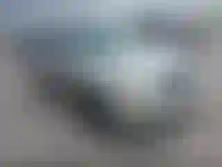 Vehicle Image- 2005 Lexus RX