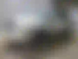 Vehicle Image- 2006 Lexus RX