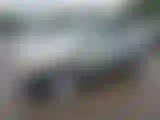Vehicle Image- 2004 Lexus RX