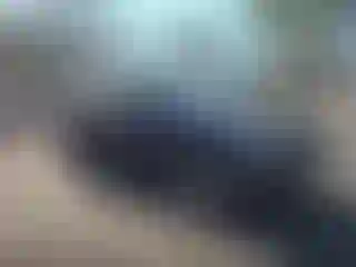 Vehicle Image- 2005 Lexus RX