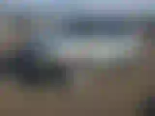 Vehicle Image- 2004 Lexus RX