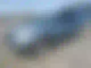 Vehicle Image- 2005 Lexus RX