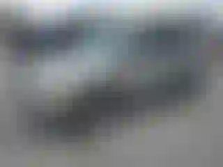 Vehicle Image- 2004 Lexus RX