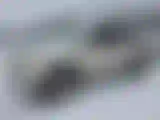 Vehicle Image- 2005 Lexus RX