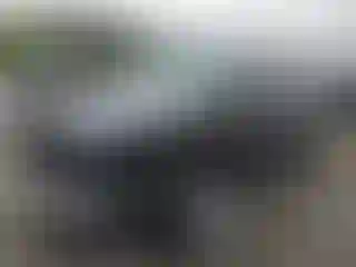 Vehicle Image- 2004 Lexus RX