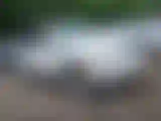 Vehicle Image- 2005 Lexus RX