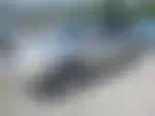 Vehicle Image- 2004 Lexus RX