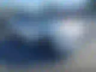 Vehicle Image- 2021 Lexus RX