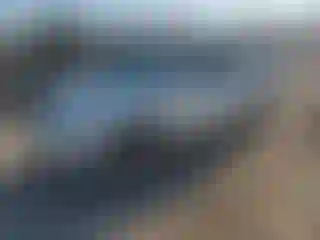 Vehicle Image- 2008 Lexus RX