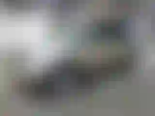 Vehicle Image- 2008 Lexus RX