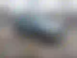 Vehicle Image- 2007 Lexus RX