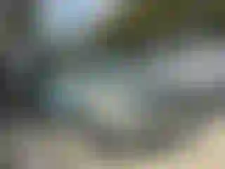 Vehicle Image- 2007 Lexus RX