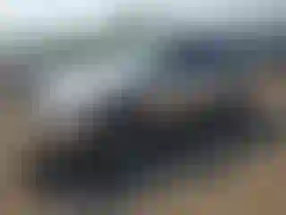Vehicle Image- 2008 Lexus RX