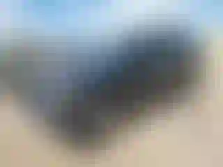 Vehicle Image- 2009 Lexus RX