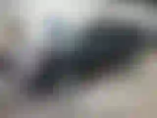 Vehicle Image- 2008 Lexus RX