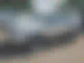 Vehicle Image- 2008 Lexus RX