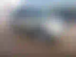 Vehicle Image- 2008 Lexus RX