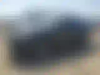 Vehicle Image- 2024 Lexus NX