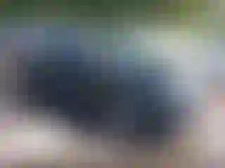 Vehicle Image- 2021 Lexus RX