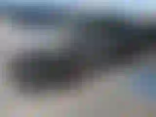 Vehicle Image- 2021 Lexus RX