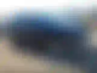 Vehicle Image- 2021 Lexus RX