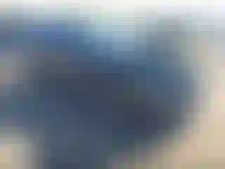 Vehicle Image- 2020 Lexus RX