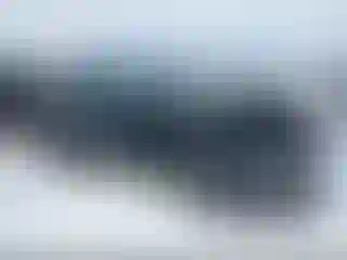 Vehicle Image- 2020 Lexus RX