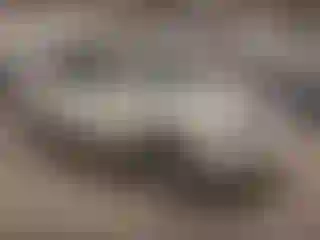 Vehicle Image- 2013 Lexus RX