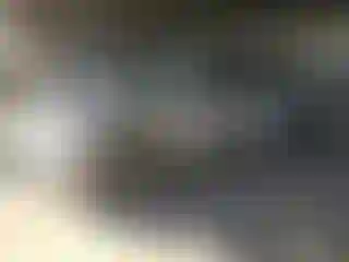 Vehicle Image- 2010 Lexus RX