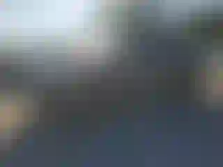 Vehicle Image- 2010 Lexus RX