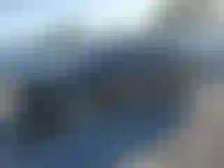 Vehicle Image- 2010 Lexus RX