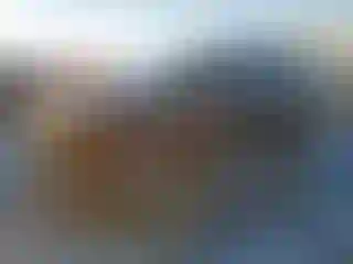 Vehicle Image- 2013 Lexus RX