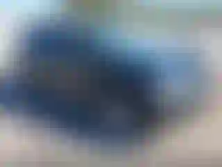 Vehicle Image- 2010 Lexus RX