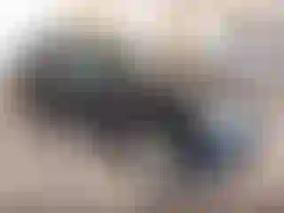 Vehicle Image- 2010 Lexus RX