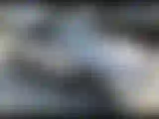 Vehicle Image- 2011 Lexus RX