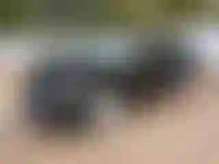 Vehicle Image- 2017 Lexus RX