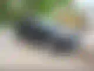 Vehicle Image- 2021 Toyota RAV4