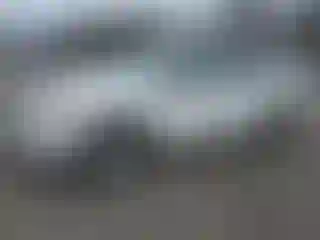 Vehicle Image- 2009 Toyota RAV4
