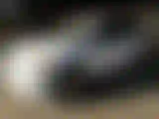 Vehicle Image- 2009 Toyota RAV4