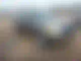 Vehicle Image- 2009 Toyota RAV4