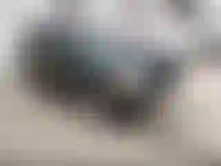 Vehicle Image- 2010 Toyota RAV4