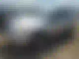 Vehicle Image- 2011 Toyota RAV4