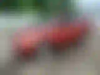 Vehicle Image- 2010 Toyota RAV4