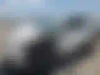 Vehicle Image- 2016 Toyota RAV4
